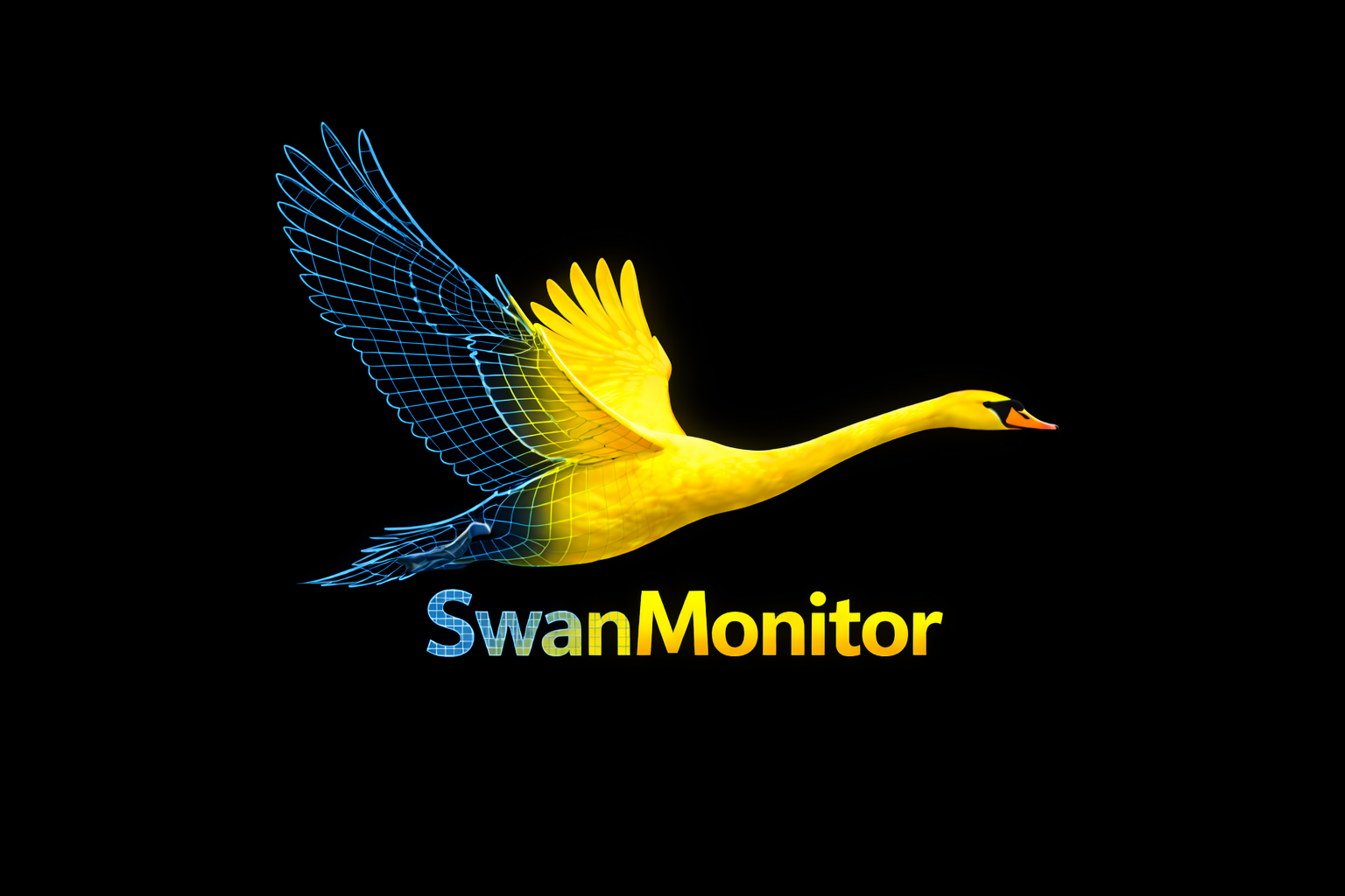 SwanMonitor - Medical Monitor Simulation